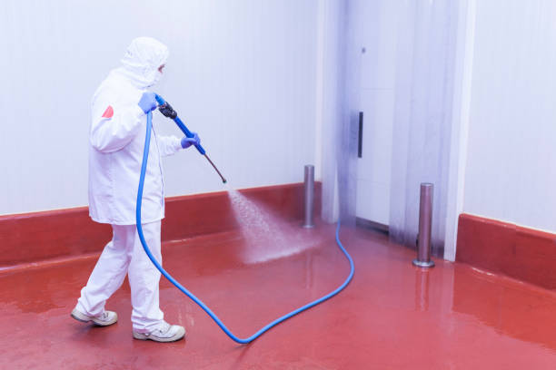 Best Graffiti Removal  in New Sharon, IA